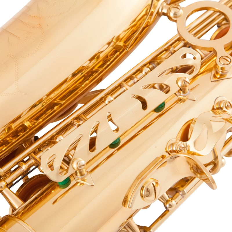 Aisiweier Eb Alto Saxophone New Arrival Brass Gold Lacquer Music Instrument E-flat Sax with Case Accessories