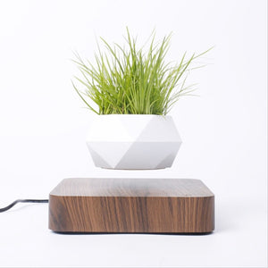 Levitating Air Bonsai Pot Rotation Flower Pot Planters Magnetic  Suspension Floating Pot Potted Plant Home Desk Decor