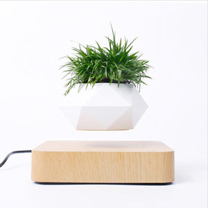 Levitating Air Bonsai Pot Rotation Flower Pot Planters Magnetic  Suspension Floating Pot Potted Plant Home Desk Decor