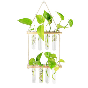 Ins Wall Hanging Glass Planter Terrarium Container Flower Bud Vase with Wooden Test Tube Holder for Propagation Hydroponic Plant