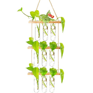 Ins Wall Hanging Glass Planter Terrarium Container Flower Bud Vase with Wooden Test Tube Holder for Propagation Hydroponic Plant