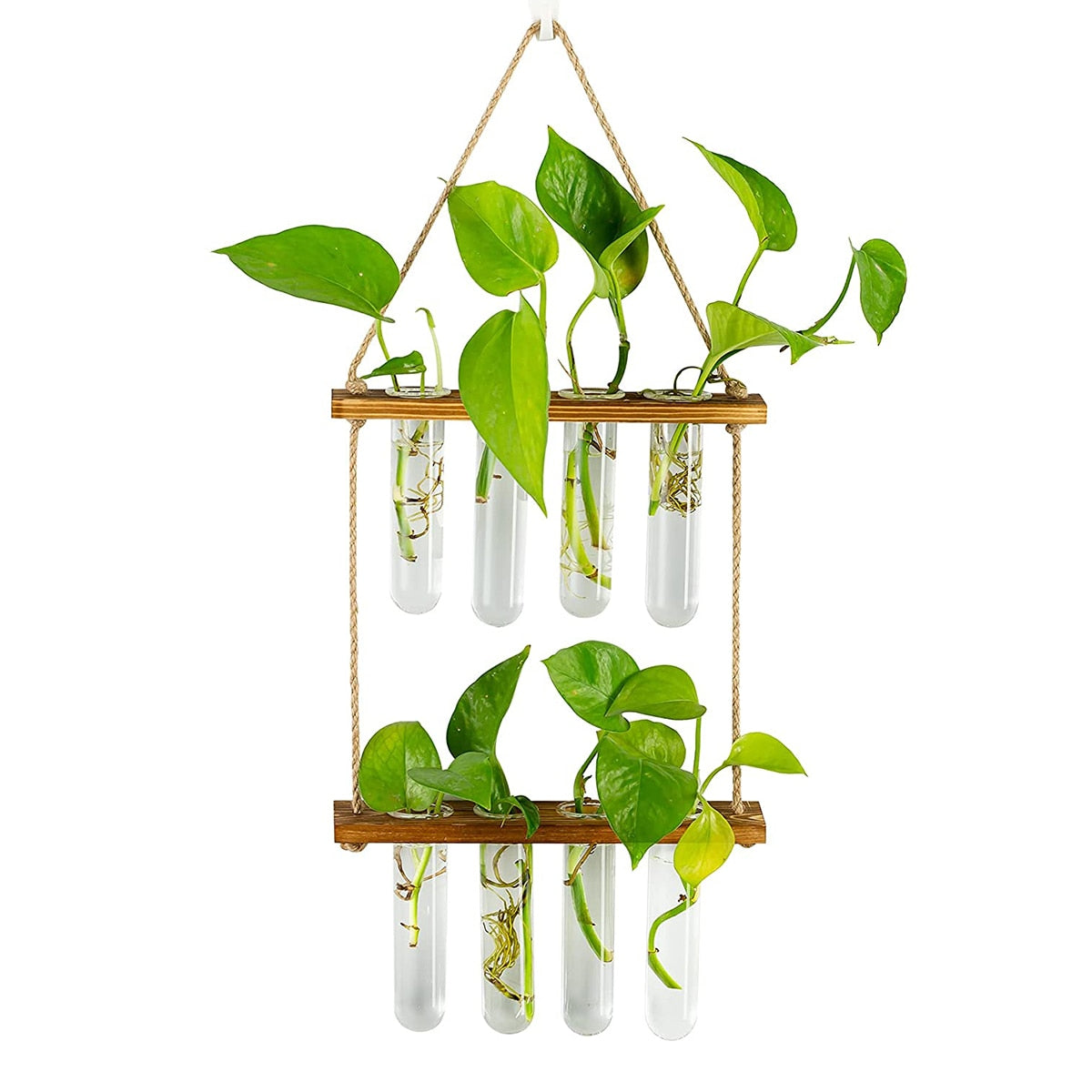 Ins Wall Hanging Glass Planter Terrarium Container Flower Bud Vase with Wooden Test Tube Holder for Propagation Hydroponic Plant