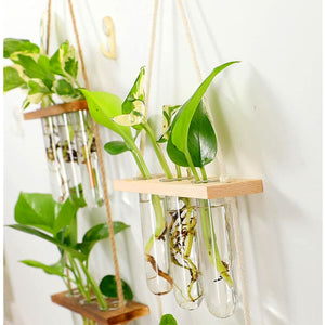 Ins Wall Hanging Glass Planter Terrarium Container Flower Bud Vase with Wooden Test Tube Holder for Propagation Hydroponic Plant